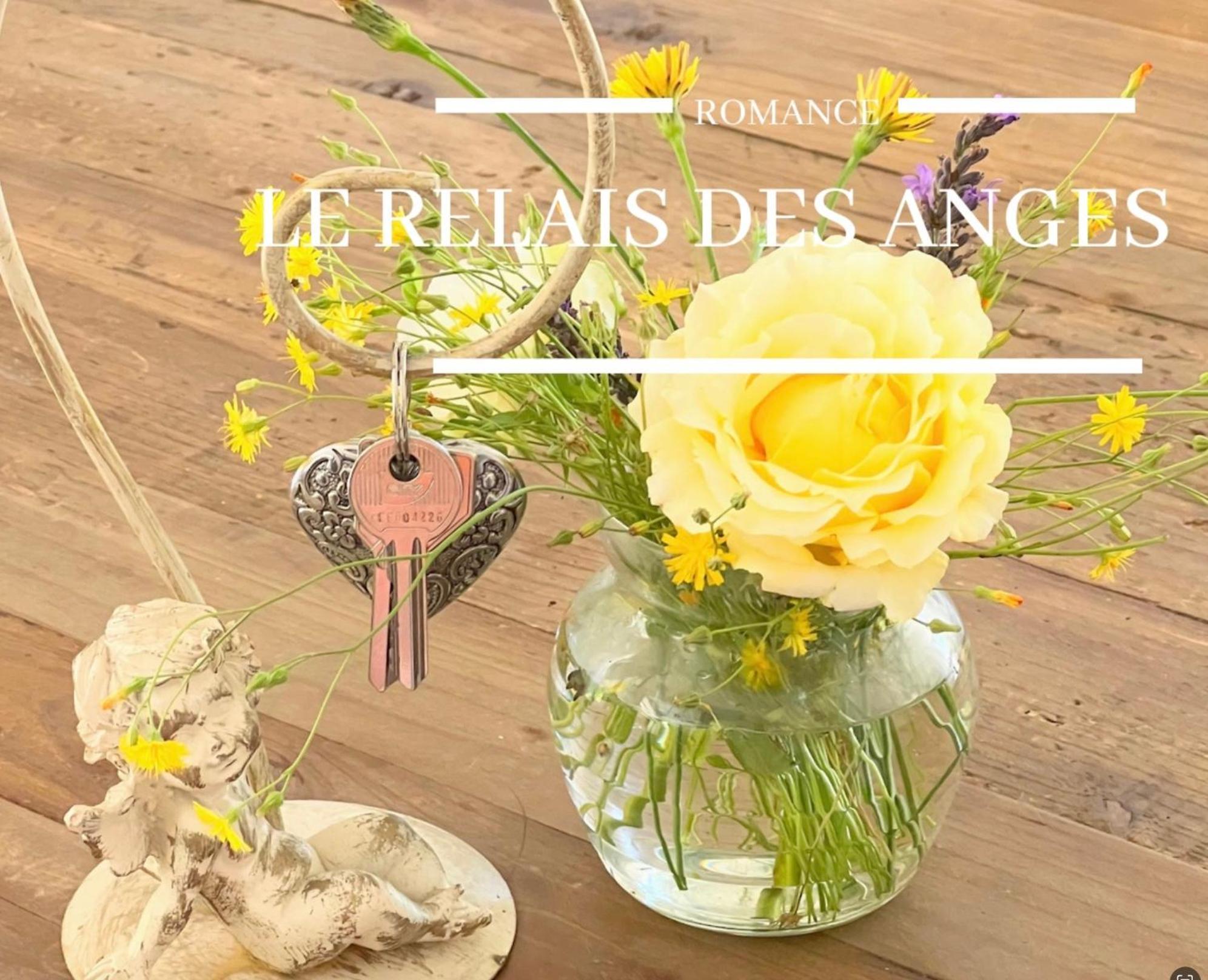 梅屈埃斯Le Relais Des Anges住宿加早餐旅馆 外观 照片